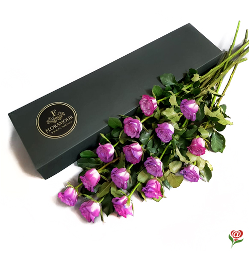Exclusiva caja negra con 15 rosas de cultivo especial. Buena duración. Sólo Santiago. Seleccione colores disponibles para este producto